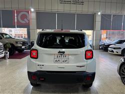 جيب رينيجيد